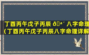 丁酉丙午戊子丙辰 🪴 八字命理（丁酉丙午戊子丙辰八字命理详解）